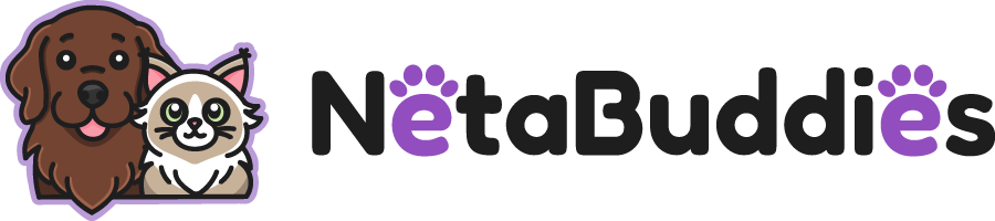 NetaBuddies logo